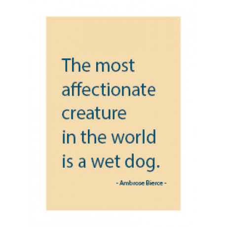Magnet/The most affectionate